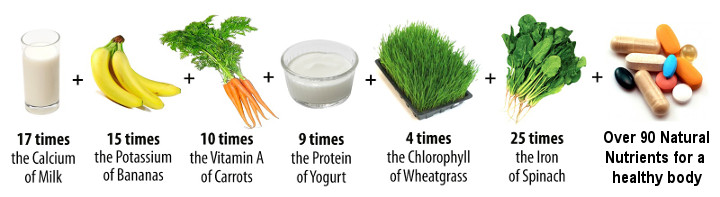 moringa oleifera nutrient comparison image showing 100 grams of moringa oleifera to have 17 times the calcium of milk, 15 times the potassium of bananas, 10 times the vitamin a of carrots, 9 times the protein of yogurt, 4 times the chlorophyll of wheatgrass, and 25 times the iron of spinach