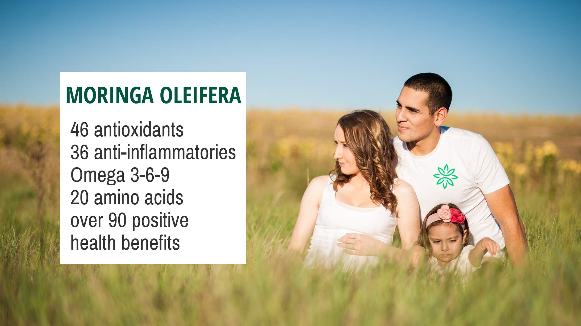 benefits of moringa oleifera 46 antioxidants, 36 anti-inflammatories, omega 3-6-9, 20 amino acids, over 90 positive health benefits