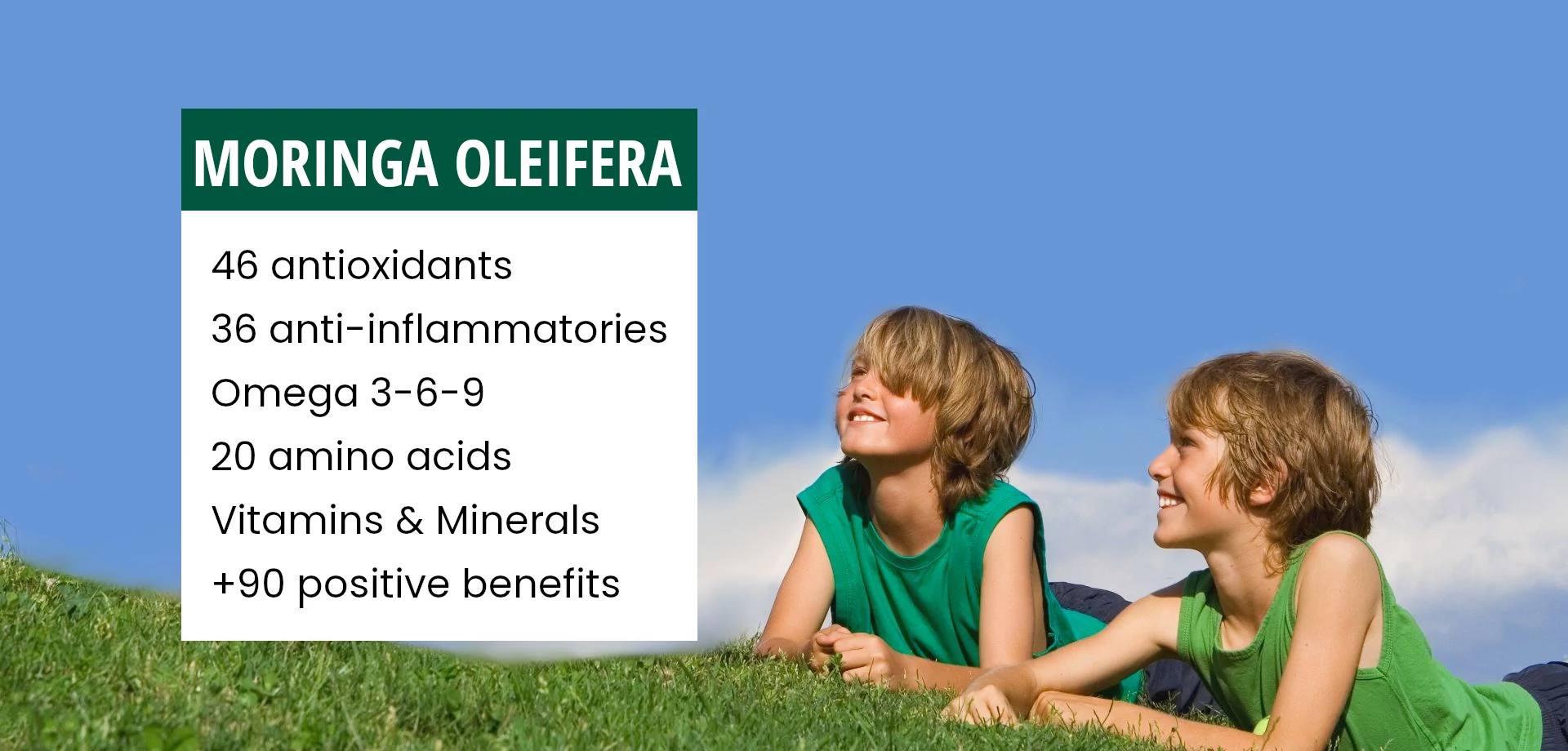 moringa oleifera promotes well being and a healthy body