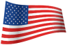 flag of the United States of America